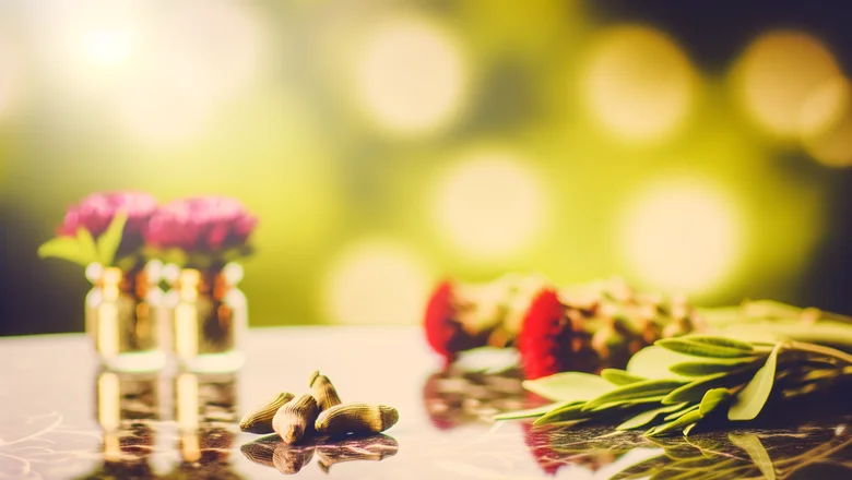 Imagen ilustrativa: Los 7 Beneficios de la Ashwagandha Respaldados por Estudios